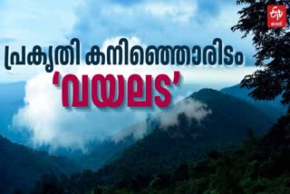 VAYALADA VIEW POINT  TOURIST SPOT IN VAYALADA  VAYALADA KOZHIKODE  കോഴിക്കോട് വയലട