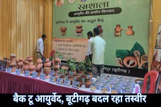 Ayurvedic medicine cultivation in Dhamtari