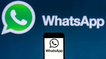 Messages to Multiple Contacts on WhatsApp