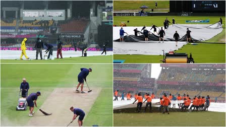 Cricket Ground Staff Salary