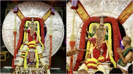 Tirumala Sri Vari Bramhotsavalu Day 7