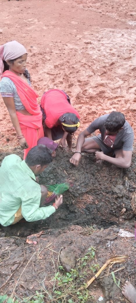 cow dung Treatment