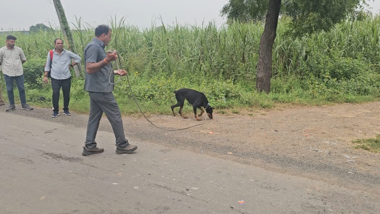 ડોગ સ્કવોડ અને FSL દ્વારા પણ સ્થળ તપાસ