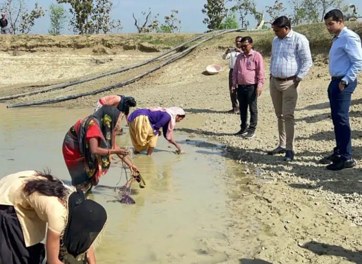 mithila-makhana-farming-cultivation-yogi-government-provide-facilities-up-farmers-rate