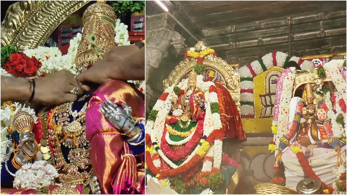 nellaiappar temple kanthimathi amman thirukalyanam festival in tirunelveli