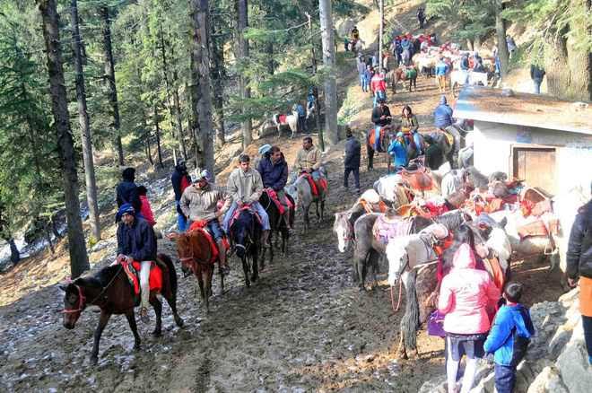 NGT Directs Restricting Number of Horses in Kufri