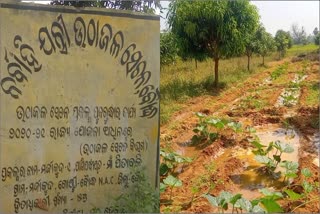 Special Blueprint for Irrigation