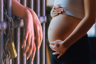 woman seeks bail of jailed husband to beget child