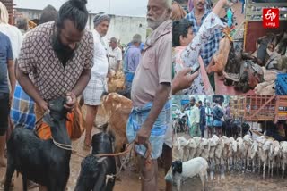 3 crore worth goat sold in Ayyalur Goat Market due to diwali festival