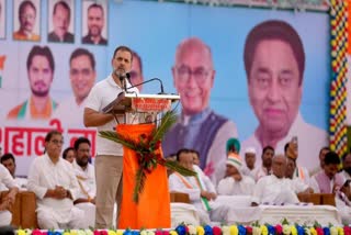 MP RAHUL GANDI RALLY IN ASHOKNAGAR RAHUL GANDHI ON PM MODI AND CASTE CENSUS RAHUL ANNOUNCED LOAN WAIVER IN MP