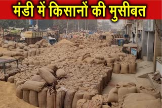 Sirsa Grain Market