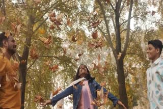 Magic of Autumn in Kashmir