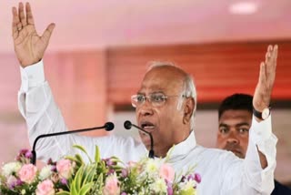 Mallikarjun Kharge In Korea