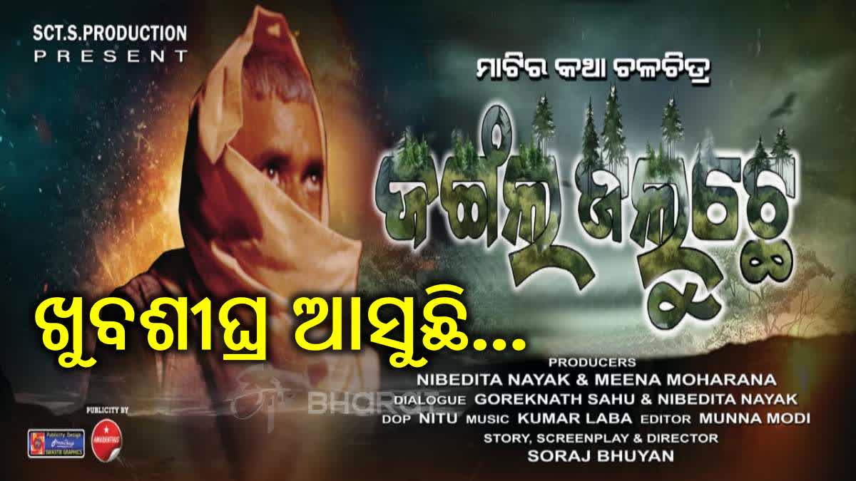 new odia film jungle jaluche