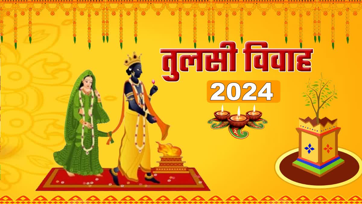 Tulsi Vivah 2024 date time Puja Vidhi and importance Lord Vishnu Shaligram Tulsi Vivah