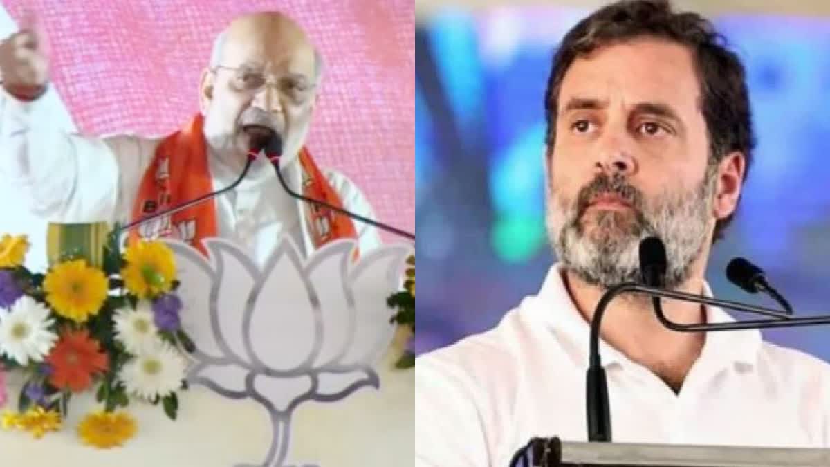 Amit Shah On Rahul Gandhi