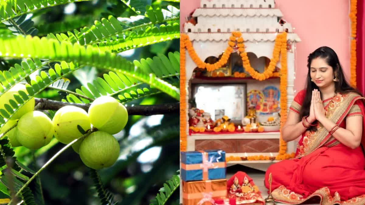 Akshaya Navami Usirika Pooja