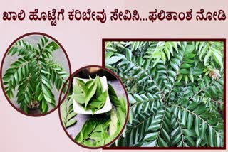 ಖಾಲಿ ಹೊಟ್ಟೆಗೆ ಕರಿಬೇವು ಸೇವನೆಯಿಂದ ಆರೋಗ್ಯ ವೃದ್ಧಿ