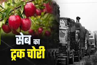 SHIMLA APPLE TRUCK THEFT CASE