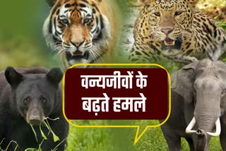 Wildlife attacks are increasing in Uttarakhand