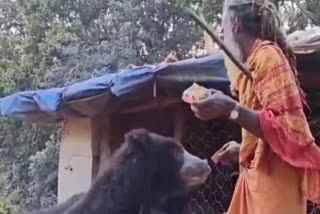 Unique Friendship Between A Monk And A Bear In Raja Mada's Heritage