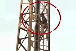 youth_climbed_cell_tower_to_attempt_suicide_in_ntr_district