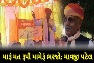 બાલુત્રી ગામે માવજી પટેલની જાહેર સભા