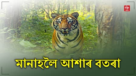 Manas National park