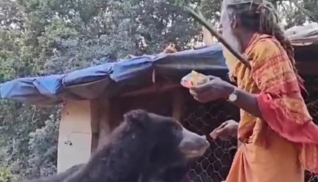 Friendship Between Sadhu And Bear