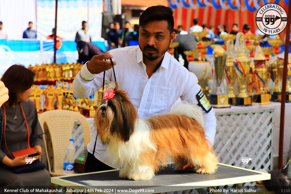 Jabalpur National Level Dog Show