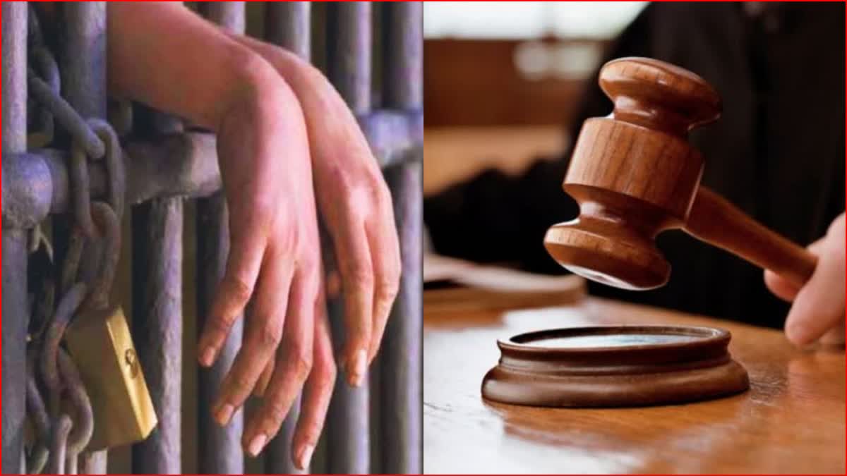 Sonipat Life imprisonment Father Murdered Eight year old daughter Court order Haryana News