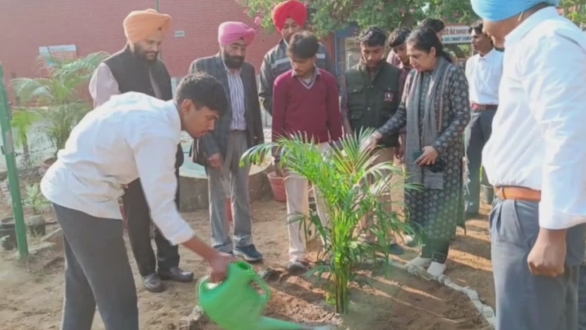 vSingapore Green Model is being implemented by the Principal in PAU Government School of Ludhiana