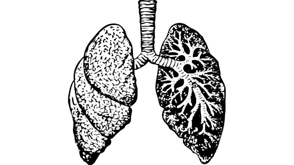 Covid virus can persist in lungs for up to 2 years: Study