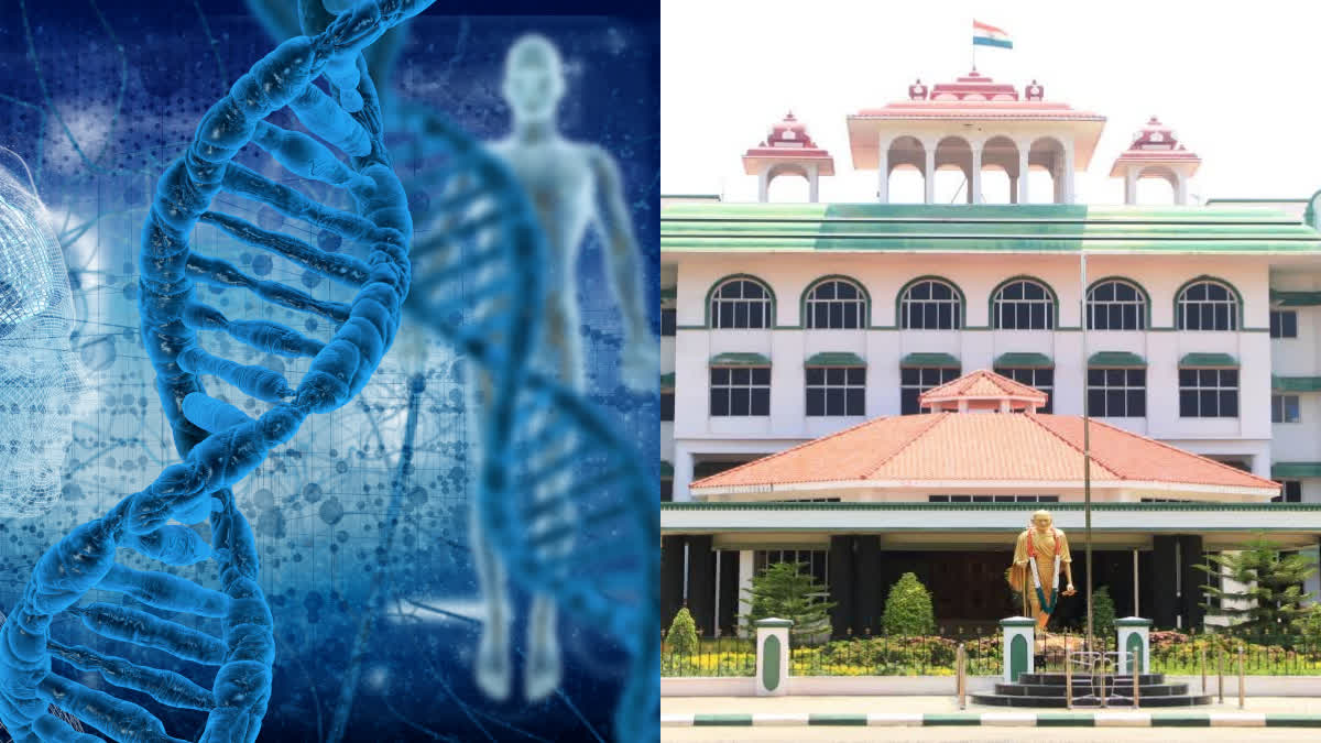 hc-madurai-bench-order-to-take-dna-data-of-both-parents-and-child-in-child-missing-cases