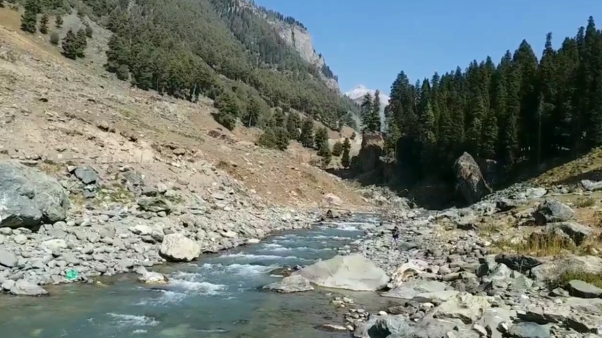 The Golden Crown of Kashmir