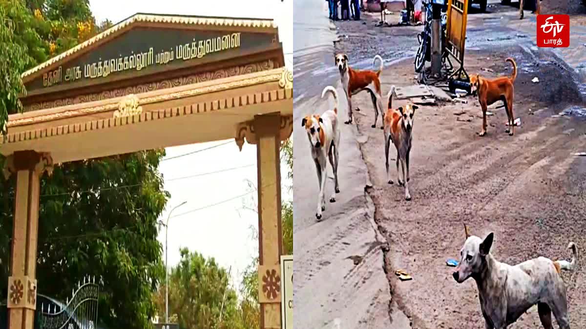 dog-bit-13-peoples-ferociously-in-theni