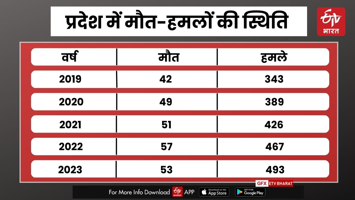 Illegal weapons in Rajasthan