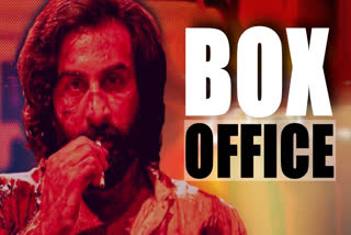 Animal box office collection day 8: Ranbir Kapoor starrer is now highest-grossing A-rated Indian movie ever, soon to enter Rs 600 cr club