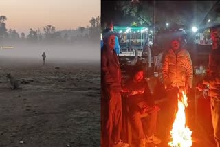 Winter Season in Rajasthan