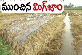 farmers_problems_due_michaung_in_visaka_district