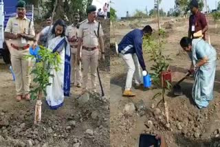plant a tree in the name of MLA
