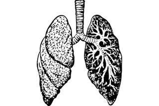 Covid virus can persist in lungs for up to 2 years: Study