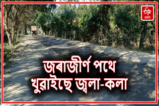 Devasted road has Harassed people of Lakhimpur