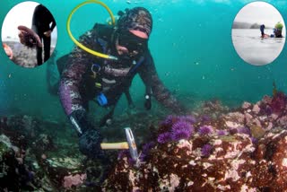 Sea Urchin Eradication Methods