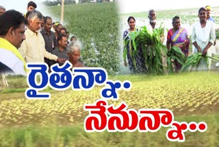 Chandrababu_Visit_to_Cyclone_Affected_Areas