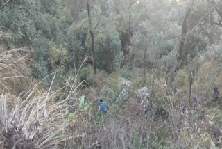 Tractor trolley fell into ditch