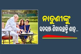 ଅସଲୀ ସତରଞ୍ଜ ମୈଦନାରେ ଅମିତ ଶାହ, ନାତୁଣୀଙ୍କୁ ଶିଖାଉଛନ୍ତି ହାରଜିତର ବାଜି !