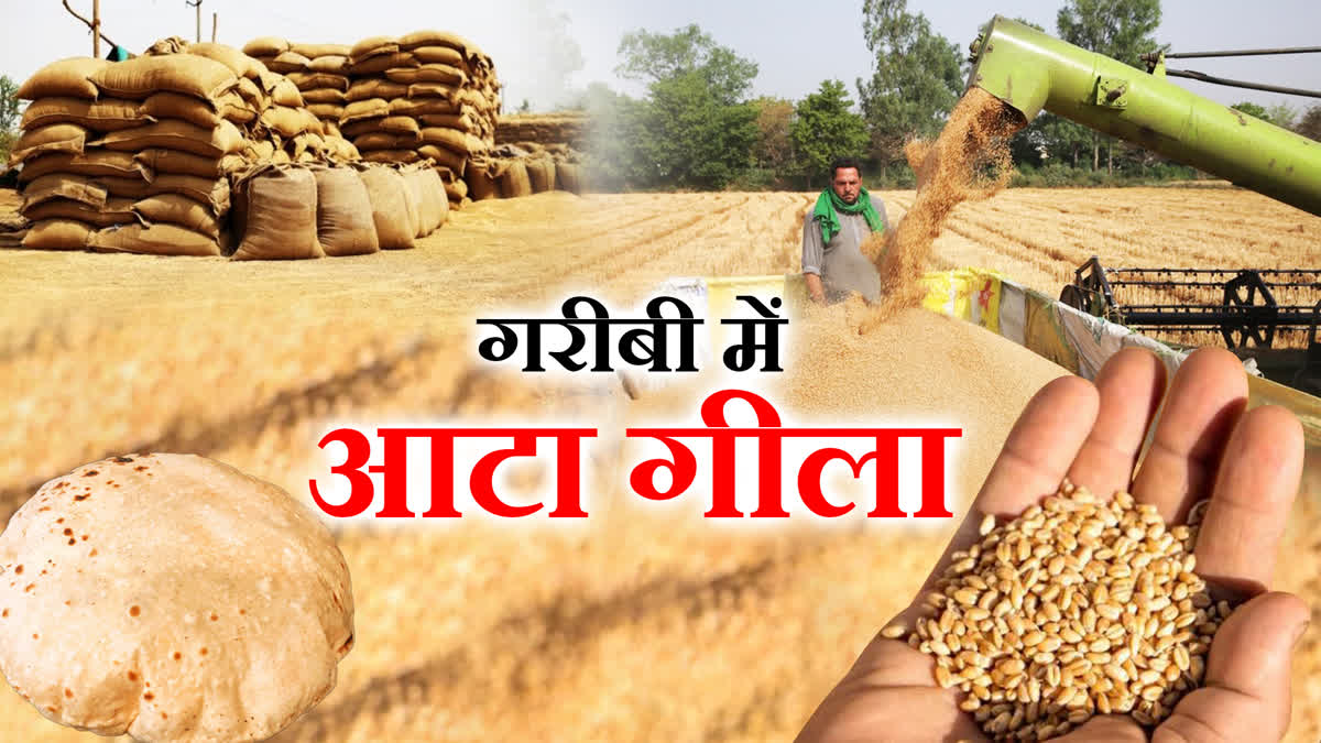 WHEAT PRICE HIKE