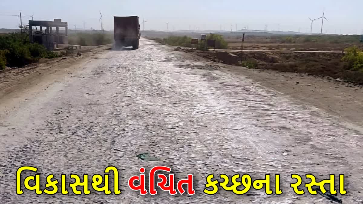 હાજીપીર વિસ્તાર રોડની બિસ્માર હાલત