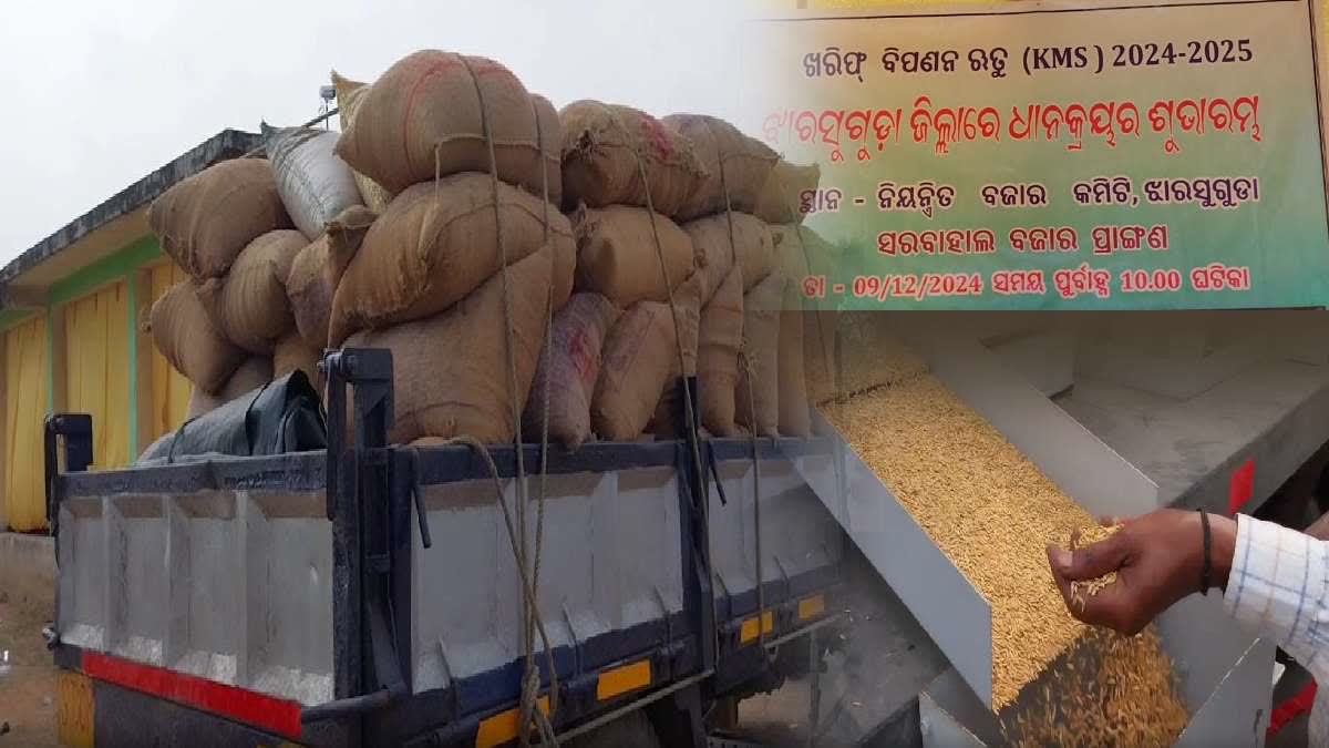 paddy procurement begins in Jharasuguda